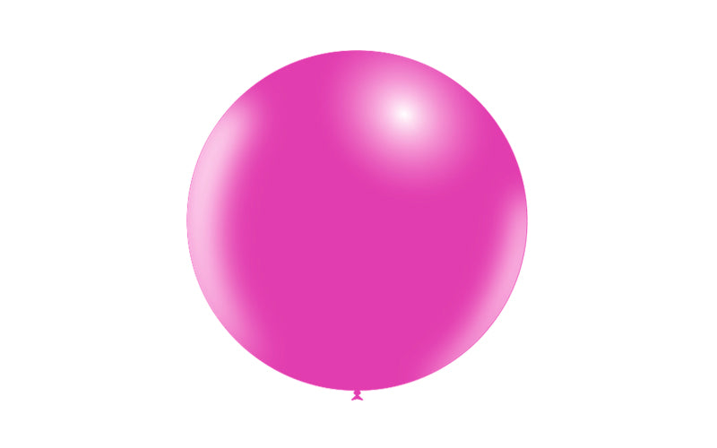 10st Fuchsia Ballonger 2ft / 60cm