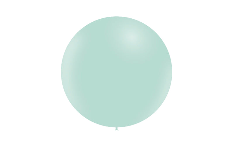 10st Gröna Pastell Ballonger 2ft / 60cm